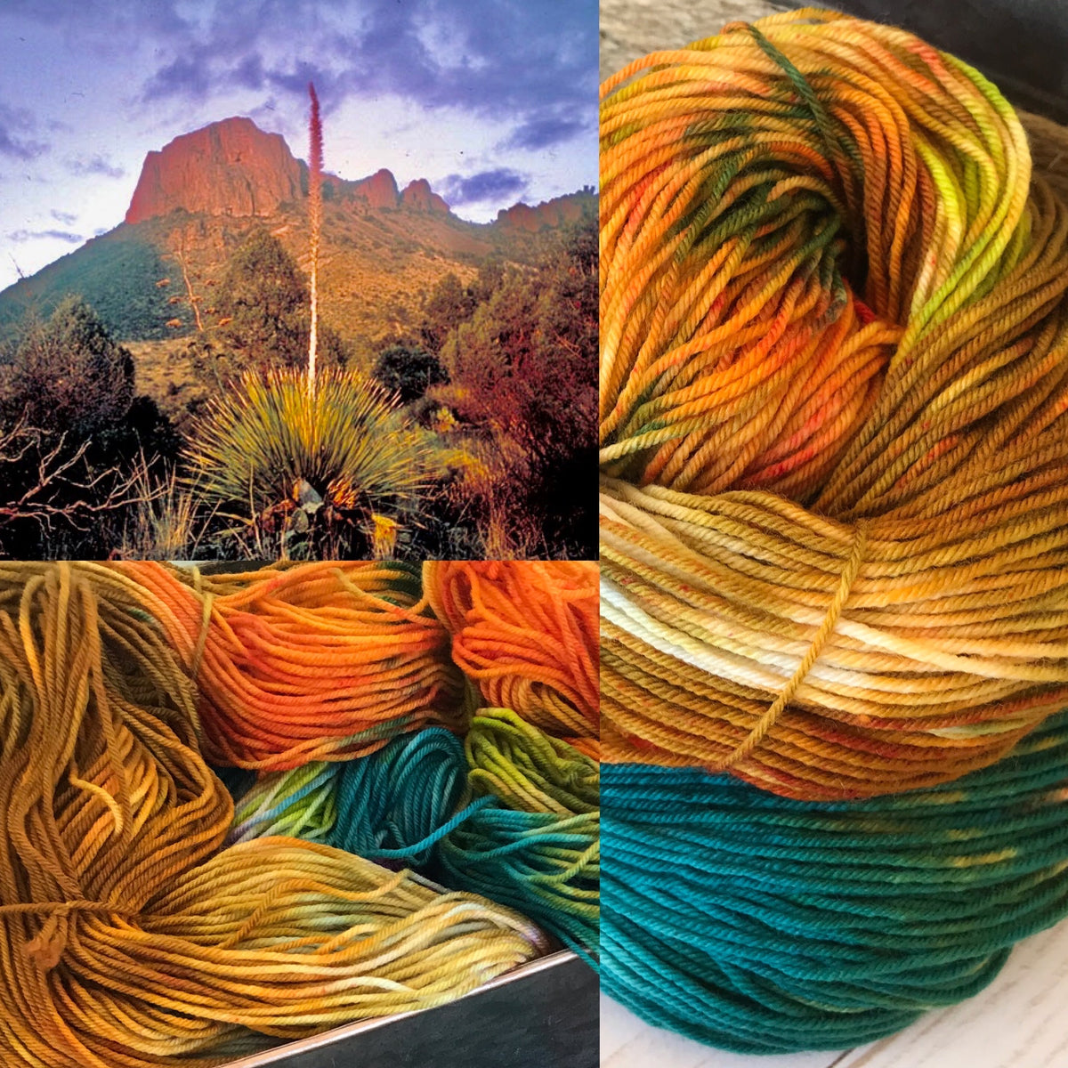 Orange Blossom Special - Fingering/Sock Yarn – Bashful Armadillo Fibers