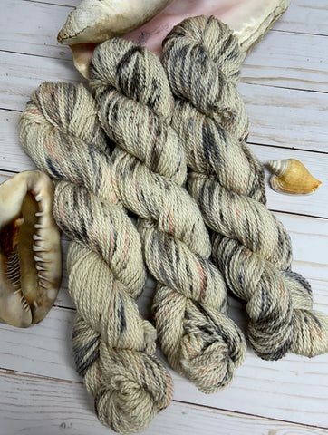 She Sells Seashells - Polwarth/SeaCell Worsted Weight