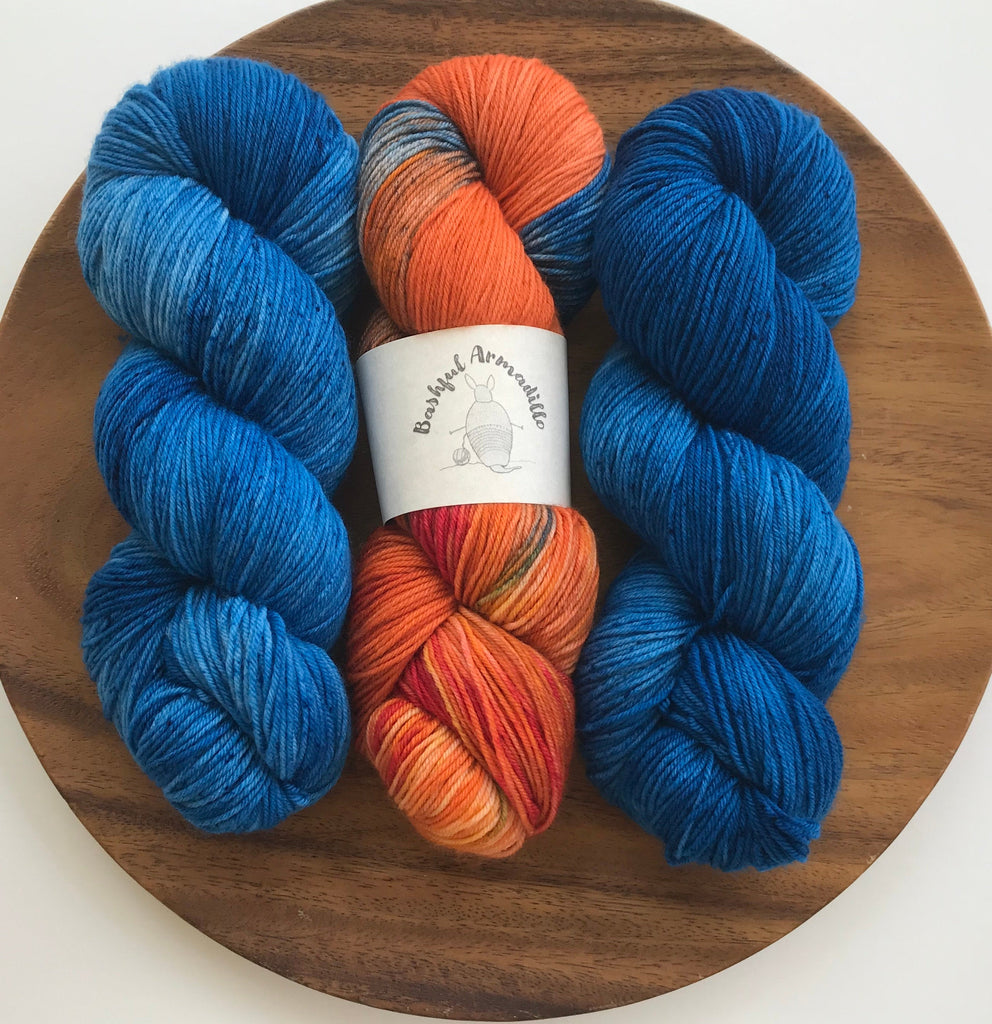 Orange Blossom Special - Fingering/Sock Yarn – Bashful Armadillo Fibers